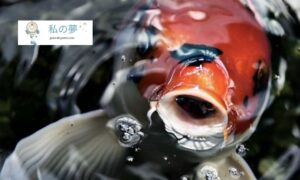 たくさん魚が釣れる夢を見ます